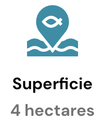 4 hectares