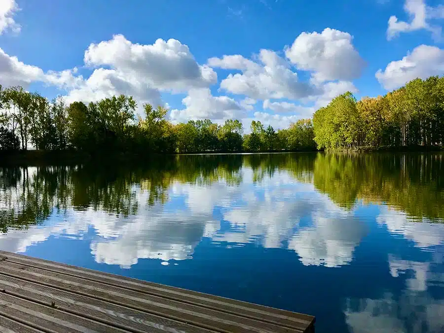 Gravel Pit Lake GoCarp