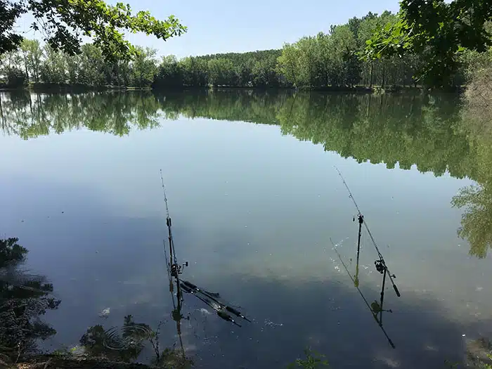 Gravel Pit Lake GoCarp