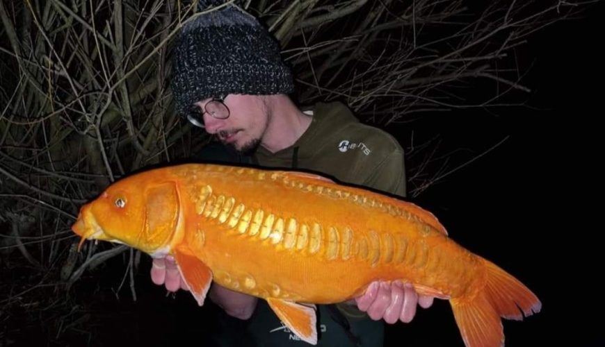 Click & fish