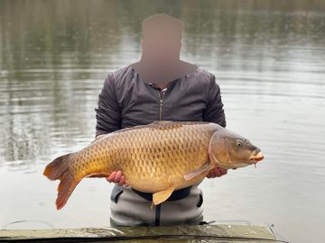Click & fish