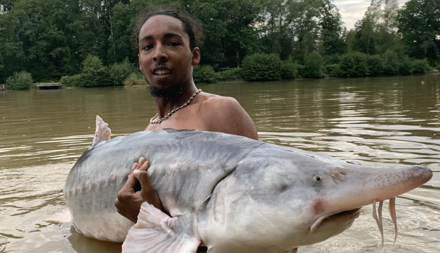 Click & fish