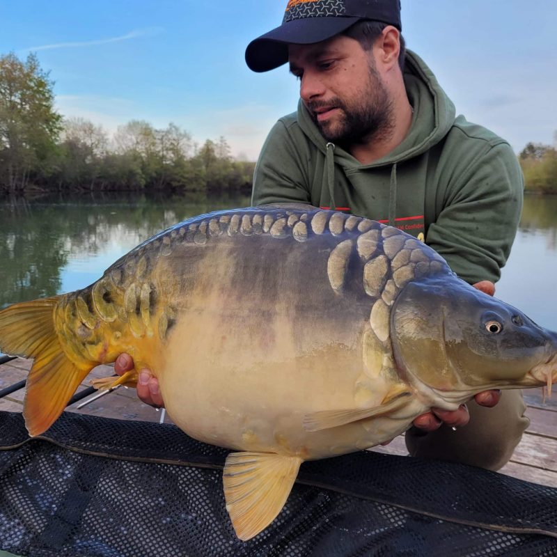 record-carpe-les-10-plus-grosses-carpes-de-france-gocarp