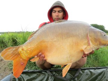 Click & fish