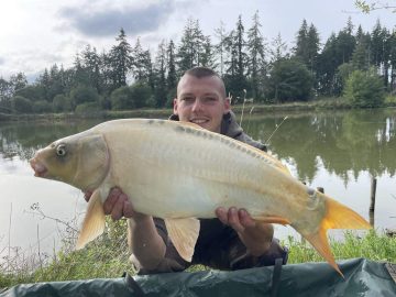 Click & fish