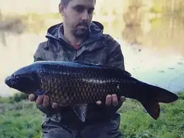 Click & fish