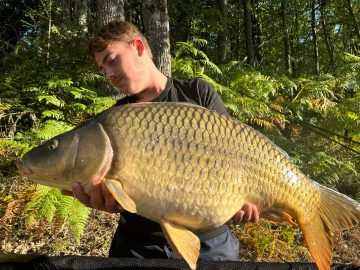 Click & fish