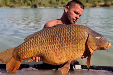 Etang Home Carpe