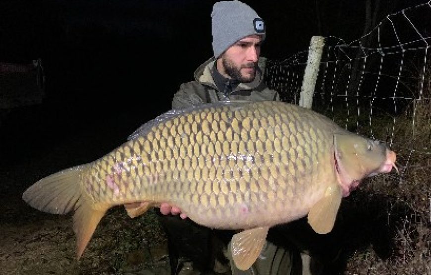 Etang du grand Tarnaud
