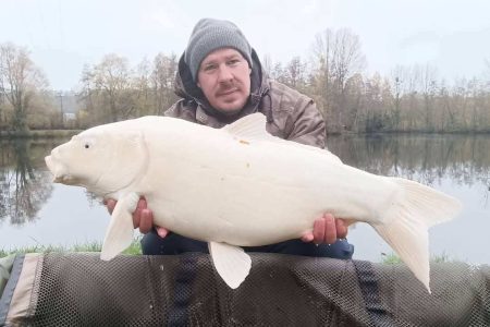 La Carpe aux Trésors
